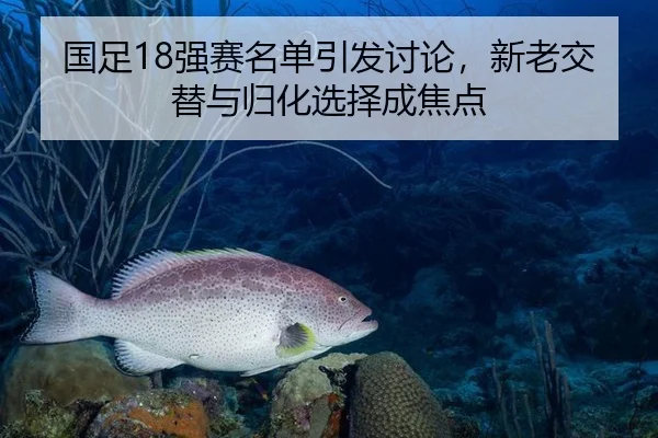 国足18强赛名单引发讨论，新老交替与归化选择成焦点
